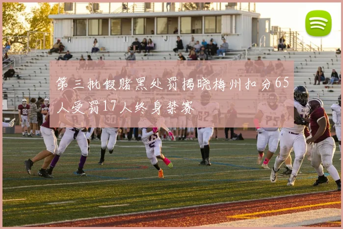 第三批假赌黑处罚揭晓梅州扣分65人受罚17人终身禁赛